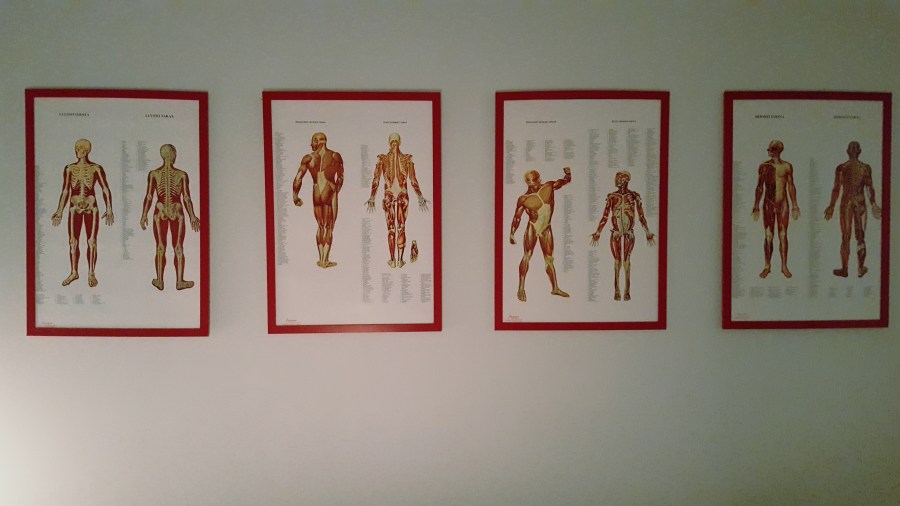 20171215_141831_resized_1